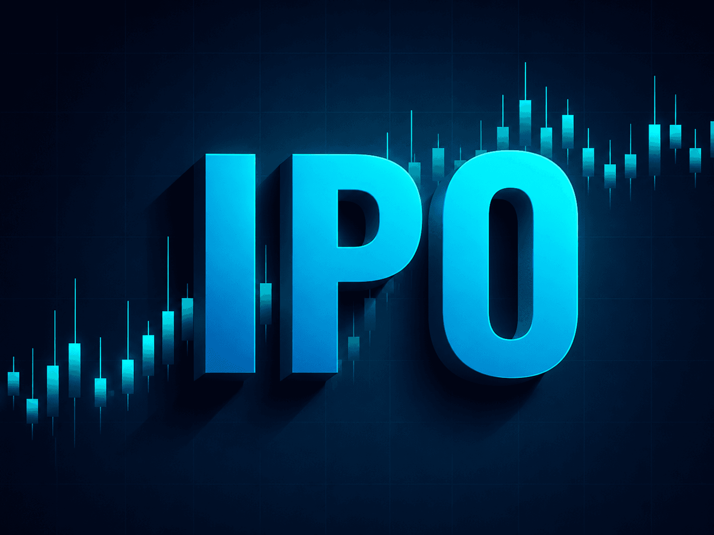 What is an IPO?